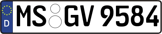 MS-GV9584