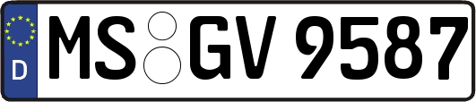 MS-GV9587