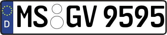 MS-GV9595