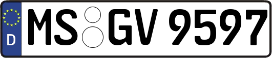 MS-GV9597