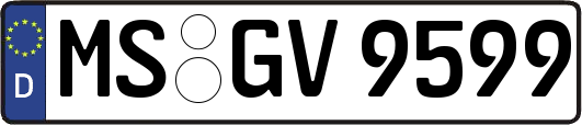 MS-GV9599