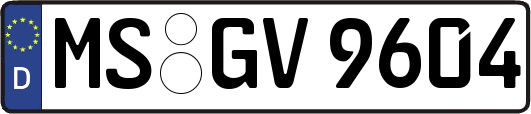 MS-GV9604