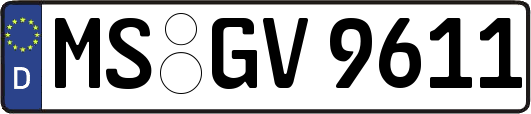 MS-GV9611