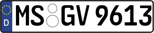 MS-GV9613