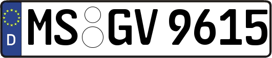 MS-GV9615