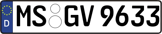 MS-GV9633