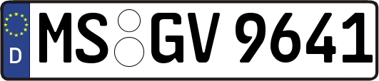 MS-GV9641