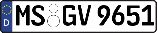 MS-GV9651