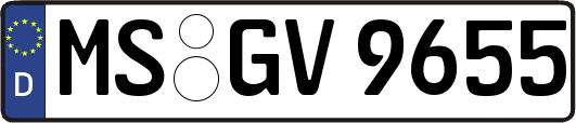MS-GV9655