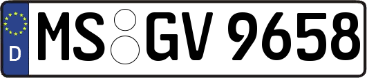 MS-GV9658