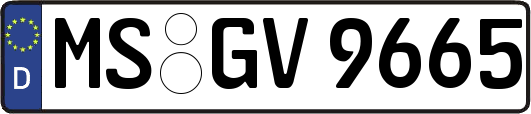 MS-GV9665
