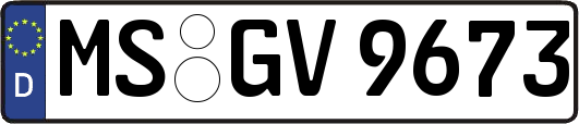 MS-GV9673