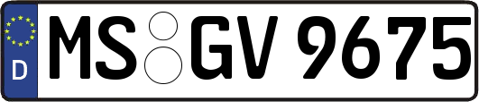 MS-GV9675