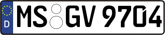 MS-GV9704