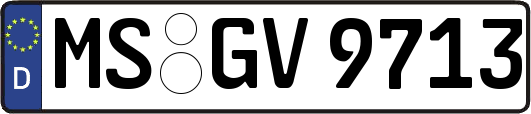 MS-GV9713