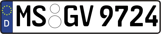 MS-GV9724