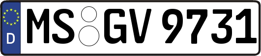 MS-GV9731