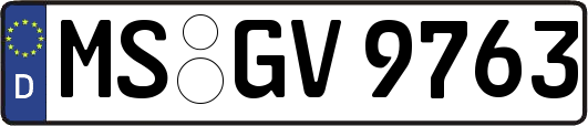 MS-GV9763