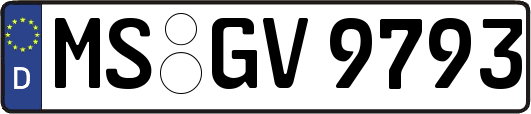 MS-GV9793