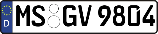 MS-GV9804