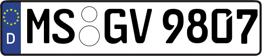 MS-GV9807