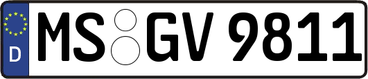 MS-GV9811