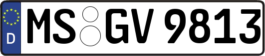 MS-GV9813