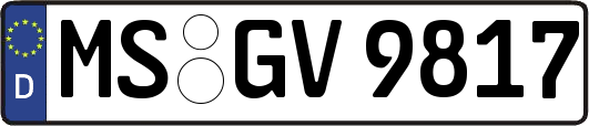 MS-GV9817