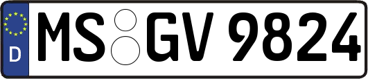 MS-GV9824
