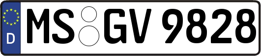 MS-GV9828