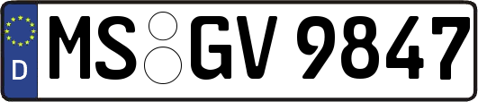 MS-GV9847
