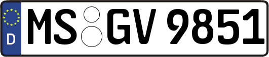 MS-GV9851