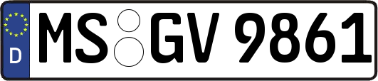 MS-GV9861
