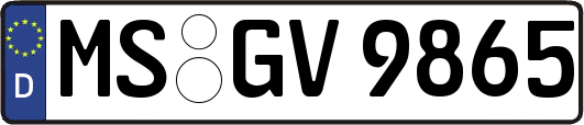 MS-GV9865