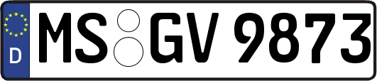 MS-GV9873