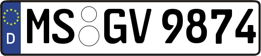 MS-GV9874