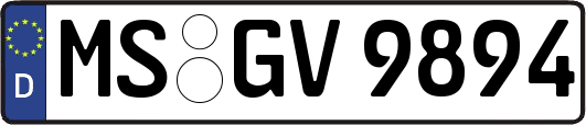 MS-GV9894