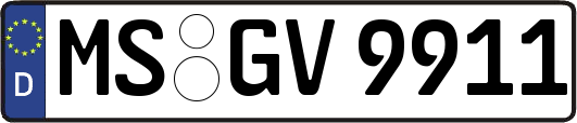 MS-GV9911