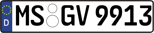MS-GV9913