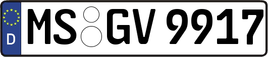 MS-GV9917
