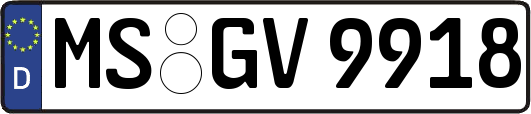 MS-GV9918