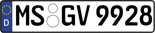 MS-GV9928