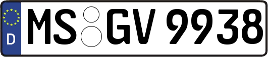 MS-GV9938