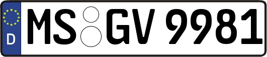 MS-GV9981