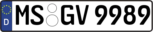 MS-GV9989