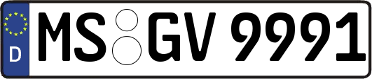 MS-GV9991