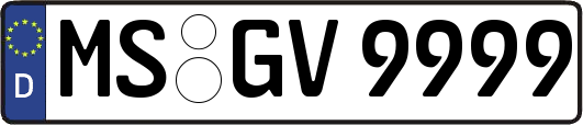 MS-GV9999