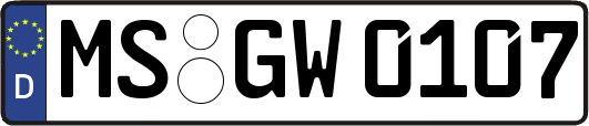 MS-GW0107