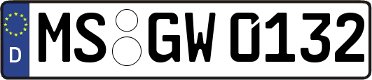 MS-GW0132