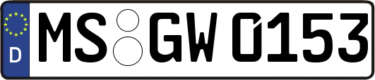 MS-GW0153